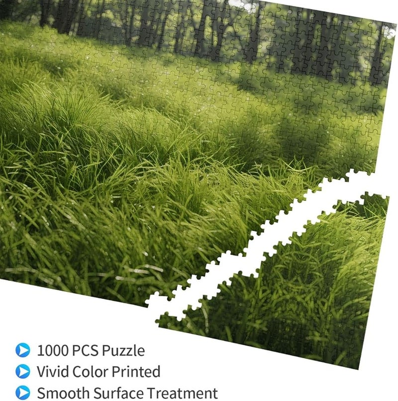 لغز فايا بيلو 1000 قطعة للكبار هدية ديكور منزلي 29.5 × 19.7 بوصة - Image 2